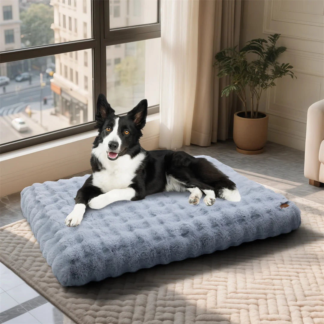 BINGOPAW Ultra-soft Dog Bed Pet Cozy Sleep Bed Cat Calming Bed Cushion Cover With Removable Cover Machine Washable