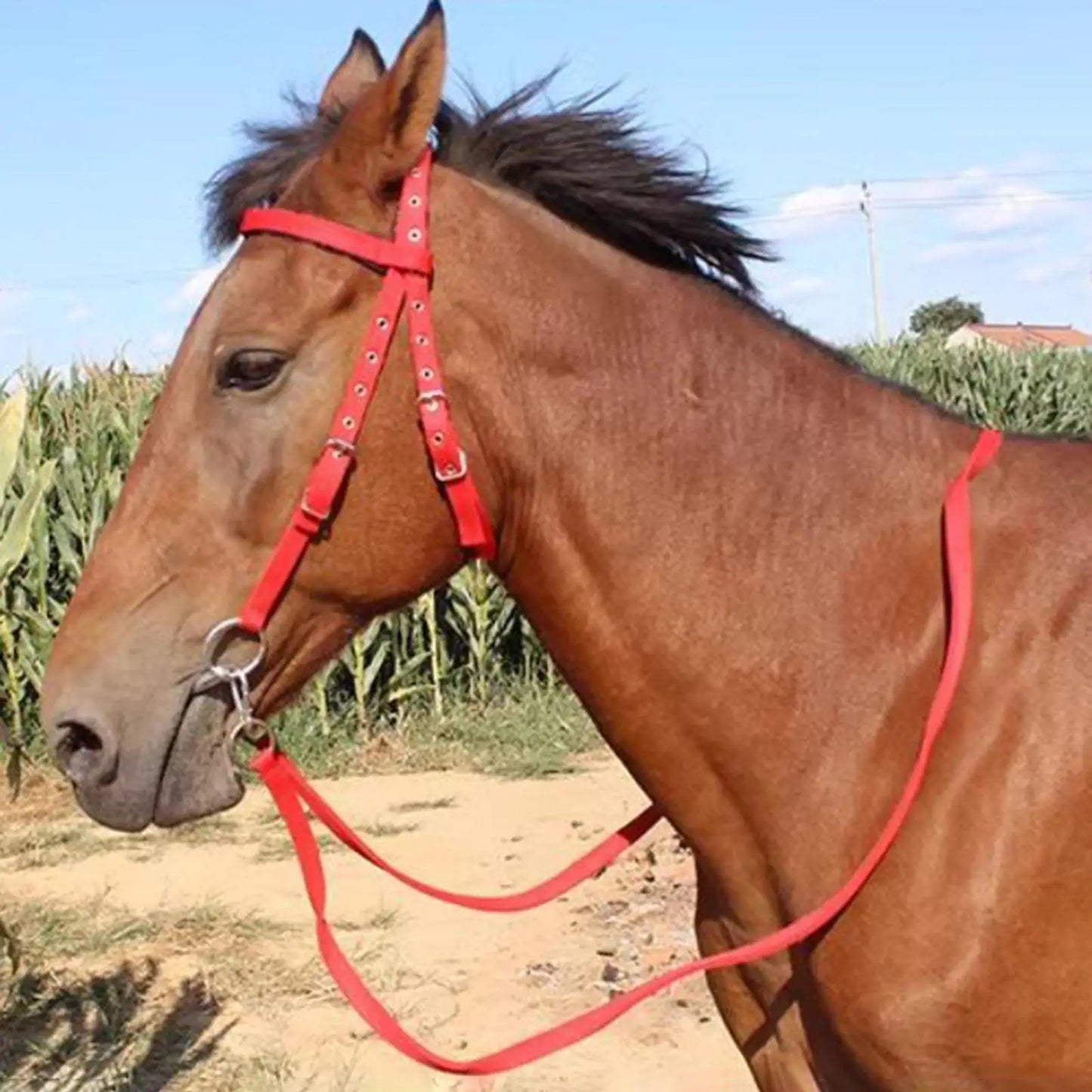 Adjustable Braided Livestock Horse Rope Strap Premium For Easy Control Generous Length Yellow 3m