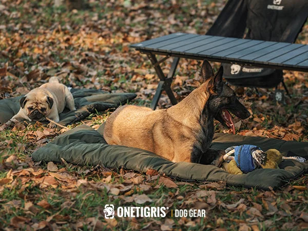 OneTigris Portable Dog Mats for Sleeping, Washable Mattress Anti-slip Cushion for Dog Cot, Water-Resistant Pet Bed for Outdoors