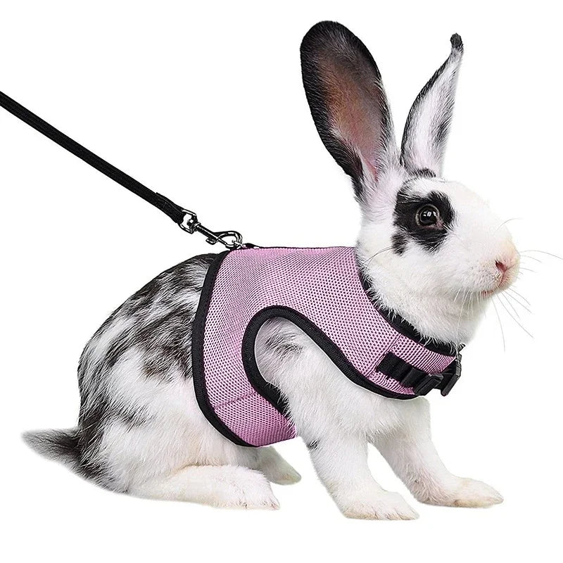 Mutil-Colors Breathable Stylish Vest Small Pet Carrier Bag Adjustable Soft Harness And Elastic Leash Set For Rabbits