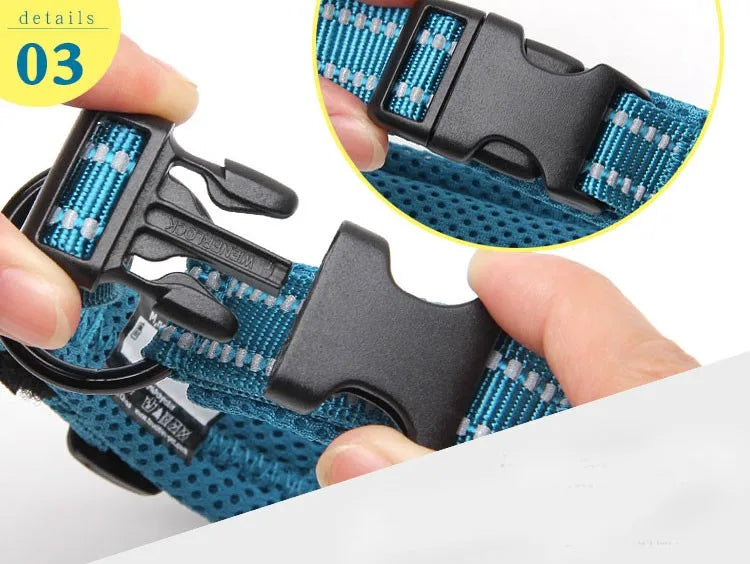 Truelove Pet Dog Collar Nylon Adjustable Webbing Padded Soft Reflective Durable Heavy Duty Training Custom Luxury Cat TLC5011