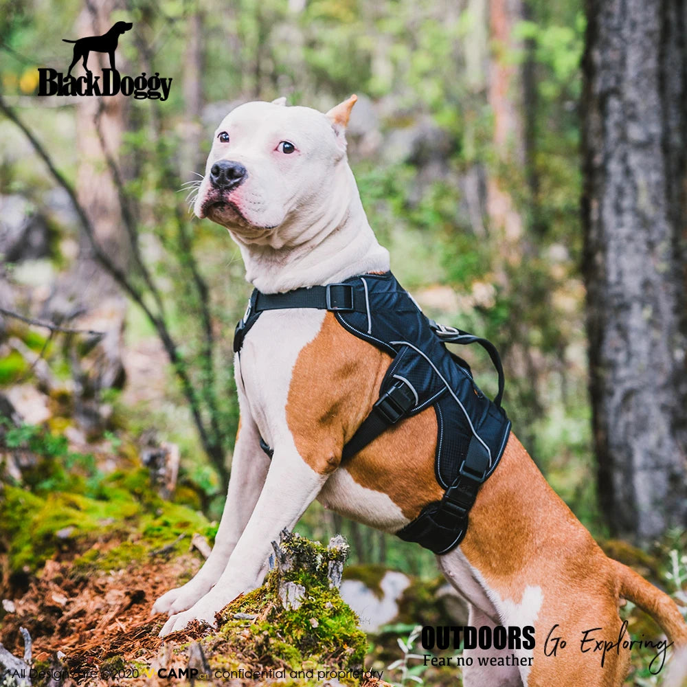 Professional Dog Harness Adjustable Pet Body Harness Vest Visible at Night Outdoor Training Harnesses Premium Quality Chest Stra