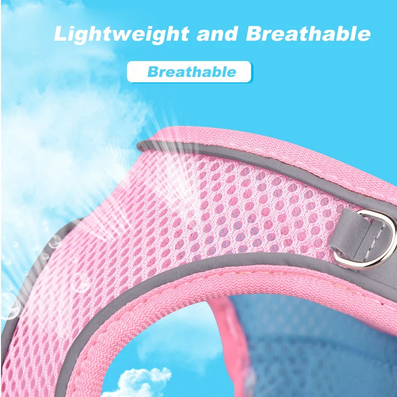 Pet Harness Vest With Leash Reflective Nylon Dog Cat Harness Collars Breathable Adjustable Chest Strap For Small Dogs Chihuahua