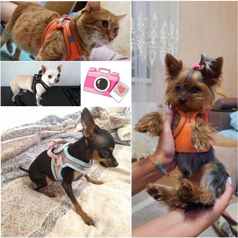 Pet Harness Vest With Leash Reflective Nylon Dog Cat Harness Collars Breathable Adjustable Chest Strap For Small Dogs Chihuahua