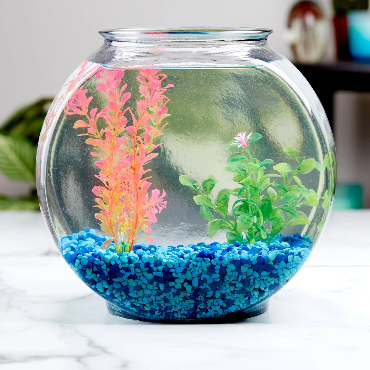 Drum Glass Fishbowl Clear Aquarium, Glass Aquarium Bowl, Betta Fish Tank, Goldfish Bowl for Home Decor