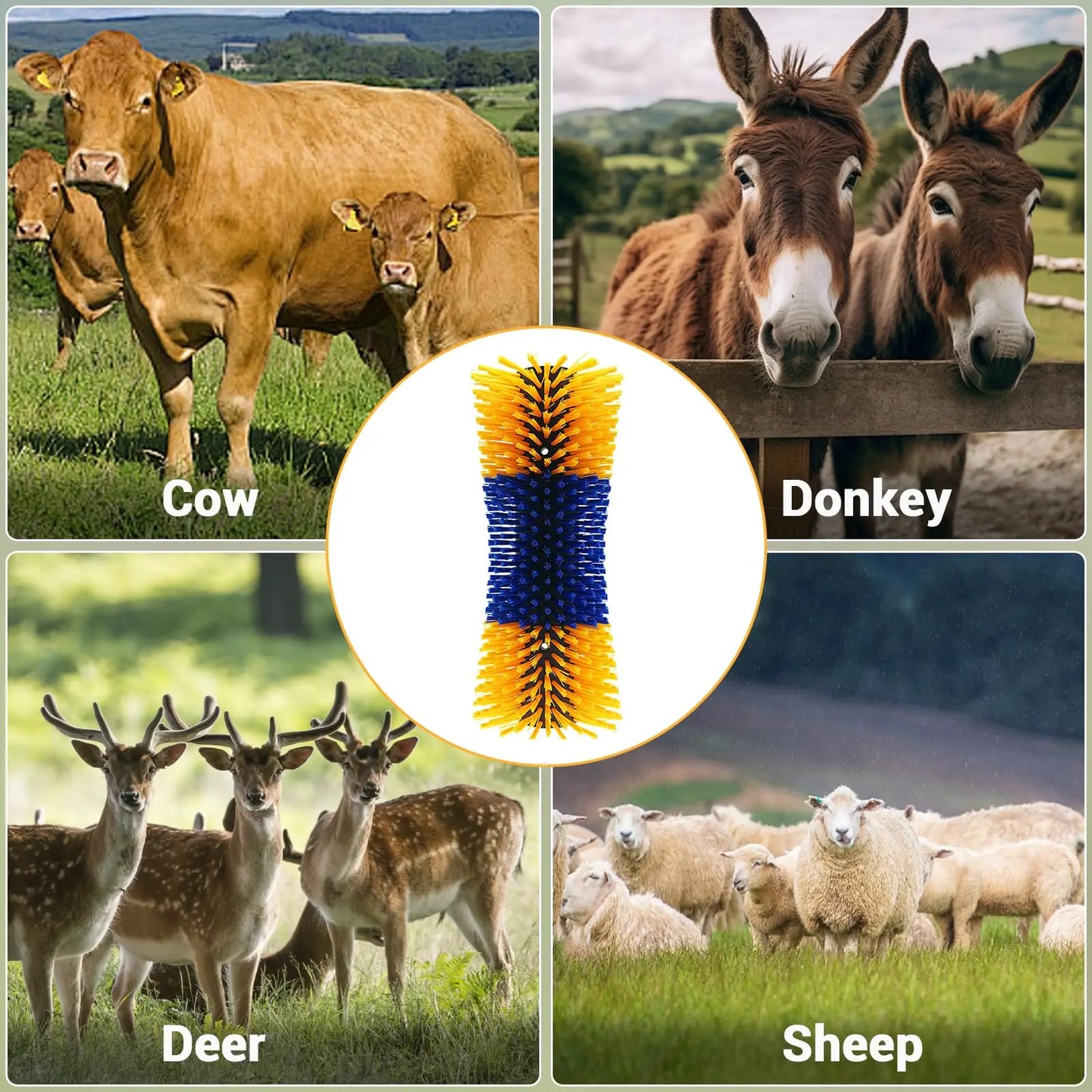 Horse Hair Brush Kit, Horsehair Brush, Horse Grooming Brushes, Horse Brushes For Grooming & Scratching Post For Horse, Pig