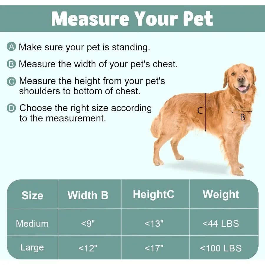 Premium Dog Door with Double Panels for IndoorOutdoor Use Automatic Closing Magnetic Flaps for Energy Efficiency Slidein Panel