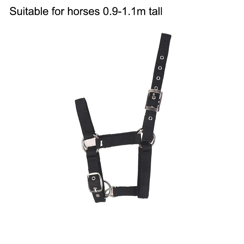Adjustable Nylon Webbing Equestrian Western Horse Halter Horse Riding Wear Black XS S M L XL Ergonomic Comfortable Halters