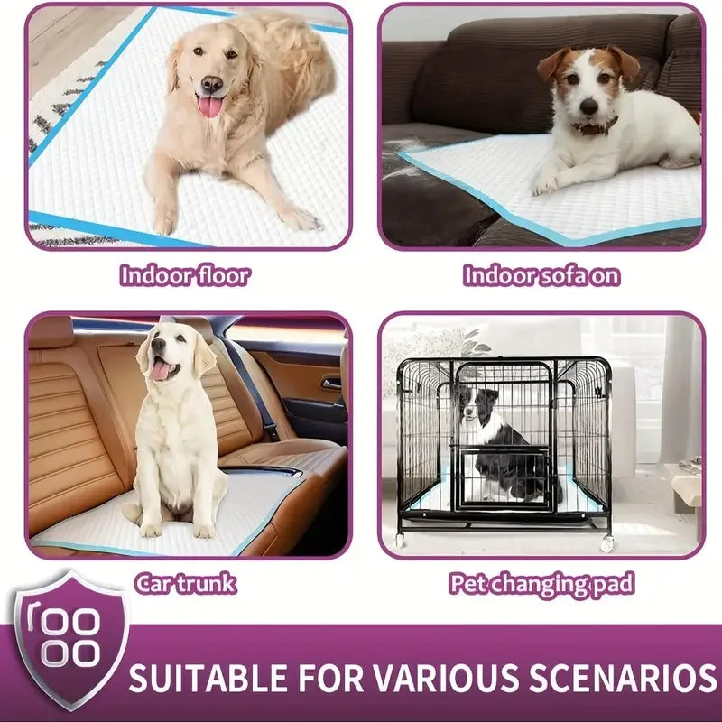 XXL Dog Pee Pads | 30"X36" Premium Disposable Dog Training Pads | Super Absorbency | Blue Extra Strength Leak-Proof