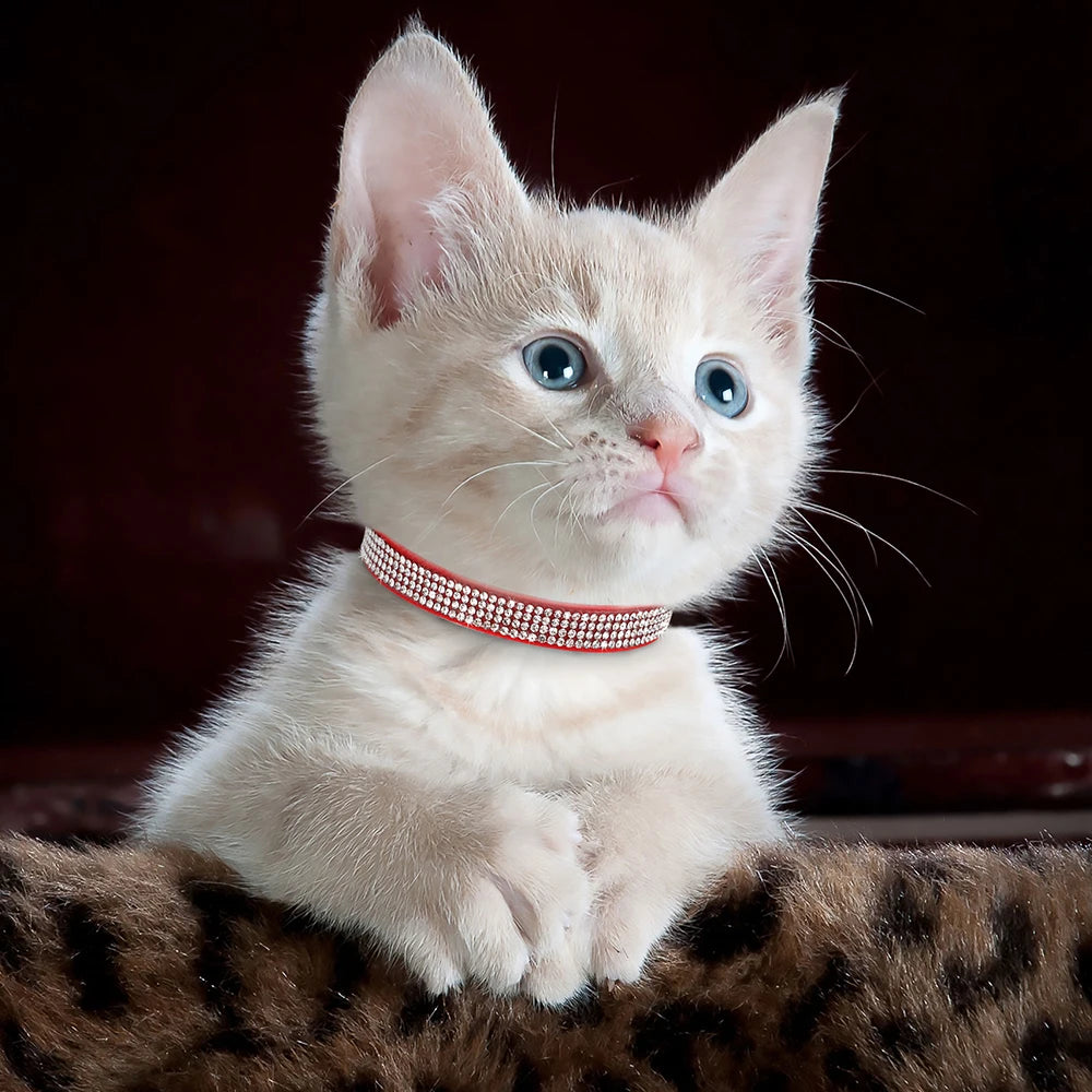 Rhinestone Bling Soft Pink Suede Cat Collar with Bell Safety Breakaway Buckle Adjustable XS/S Sizes for Kitten