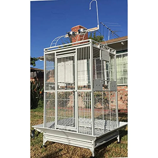 X-Large Double Ladders Open/Close Play Perch Stand Top Wrought Iron Bird Parrot Parakeet Finch Macaw Cockatoo Cage Include Seed