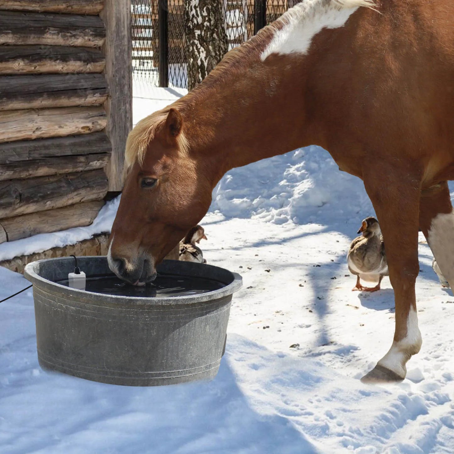 Submergible Cast Aluminum Thermostatic Control Bird Bath Heater De-Icer for Livestock Poultry Birds Cows Horses Drink Water