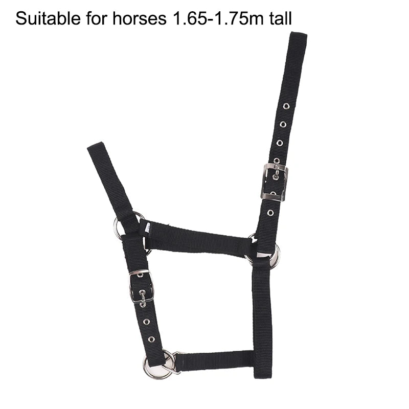 Adjustable Nylon Webbing Equestrian Western Horse Halter Horse Riding Wear Black XS S M L XL Ergonomic Comfortable Halters
