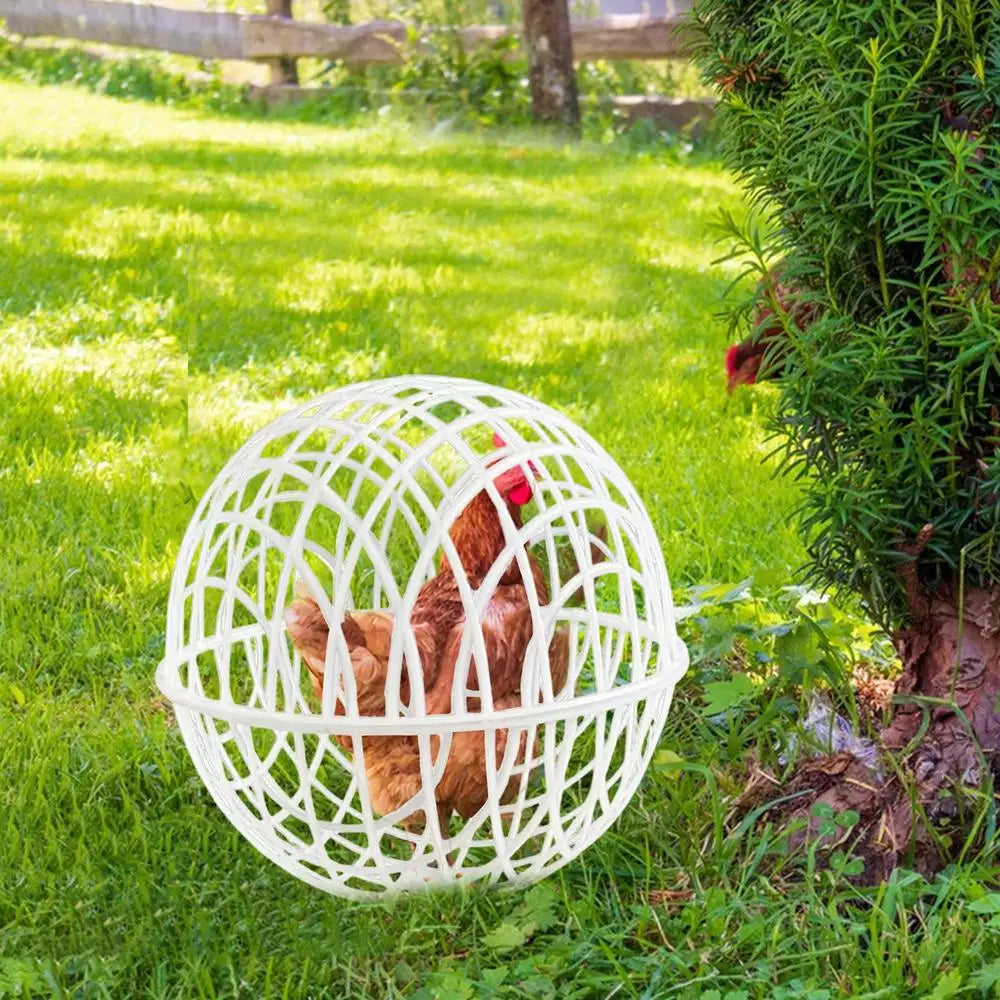 3pcs Walking Chicken Cage Safety Spherical Chicken Rolling Ball Chicken Hamster Ball Cage Free Range Can Roll and Walk To Feed