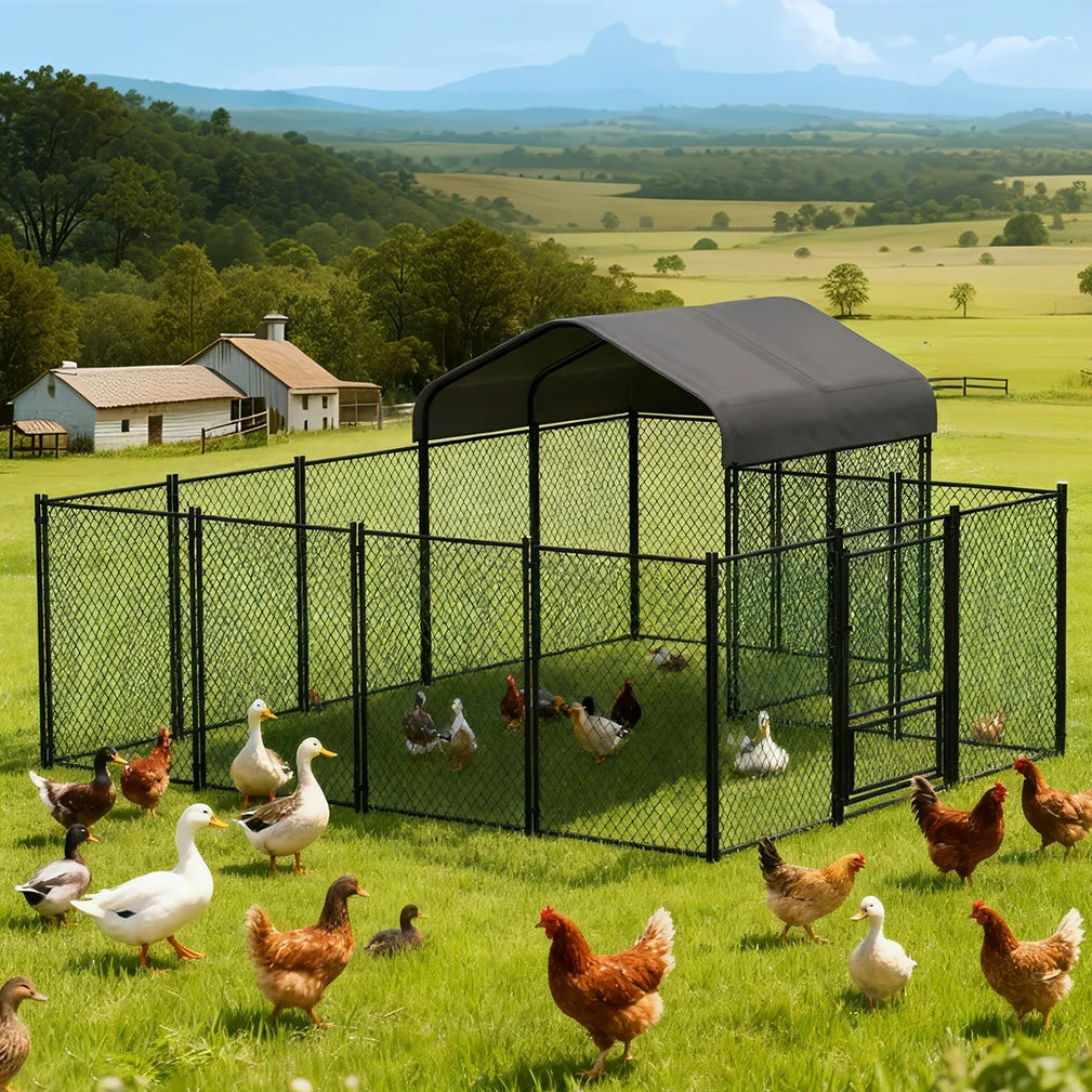 Large Walk-in Chicken Run Coop Cage Hens Rabbit Ducks Chickens Poultry Pen for Outside Yard Farm