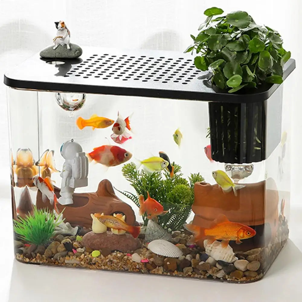 Betta Aquarium Tank Transparent Turtle Tank Aquarium Fish Bowls Small Aquariums Decorative Compact Tank For Turtle Breeding