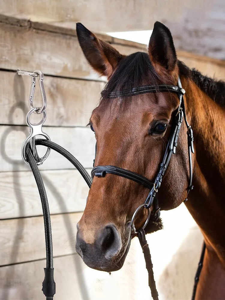 Heavy Duty Horse Tie Ring Stainless Steel Training Gear