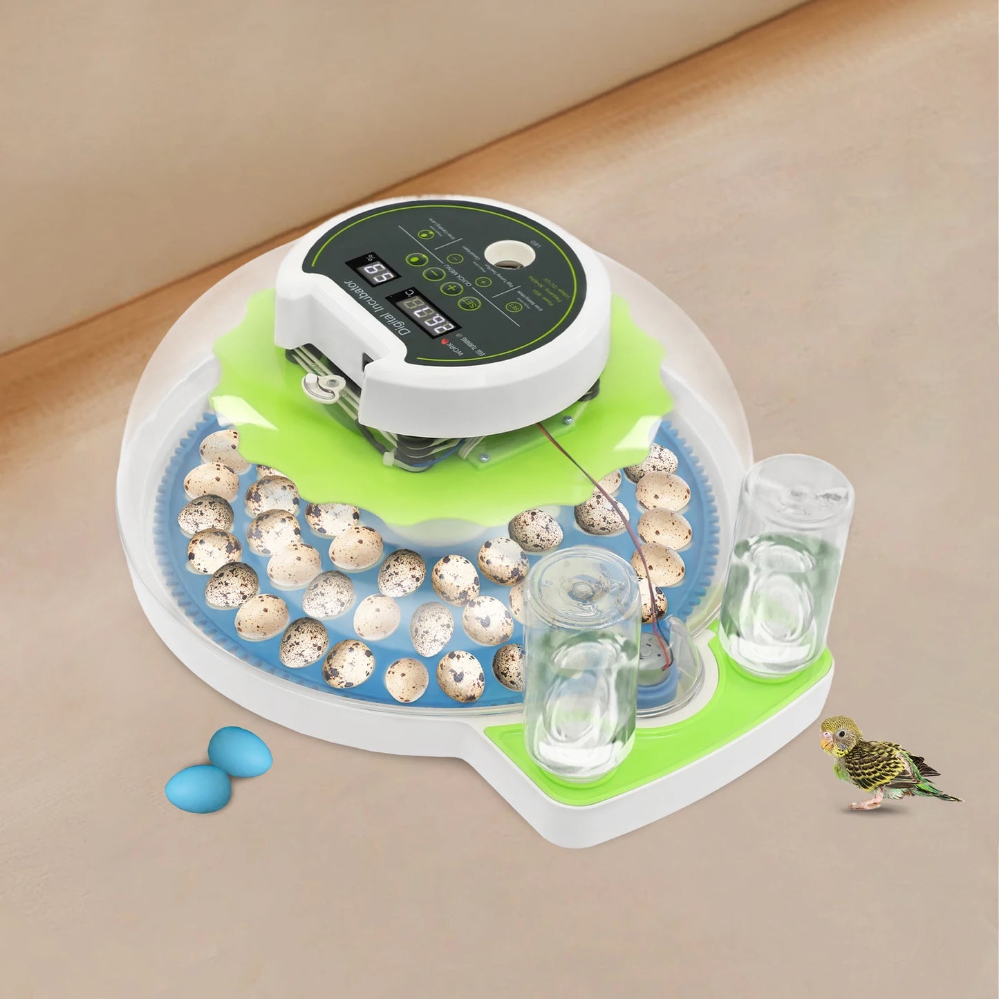 Small Incubator for 60 Small Eggs, Automatic Water Replenishment and Temperature Control Incubator, Outdoor Poultry