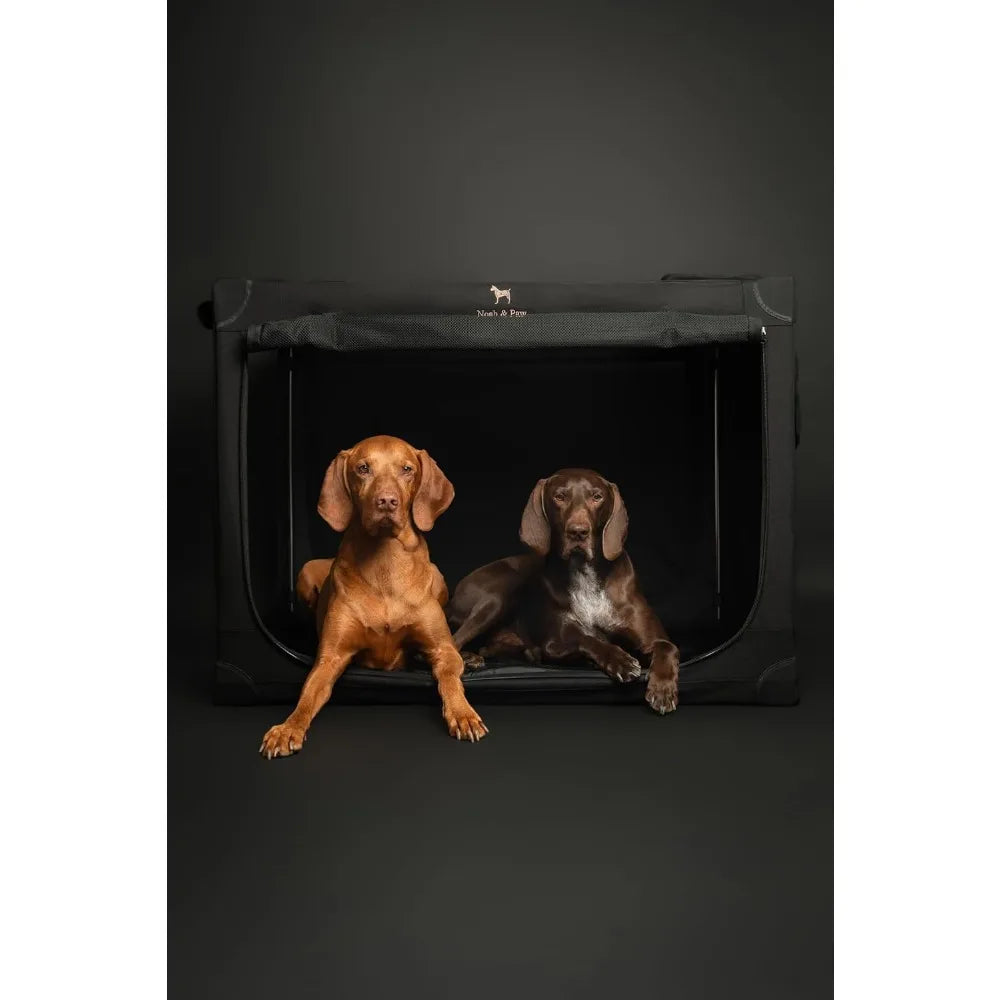 Noah & Paw Collapsible Dog Crate 36 Inches, XL Dog Crate for XL, Large Medium Breed, Travel Kennel for Car, Includes Pet Mat for