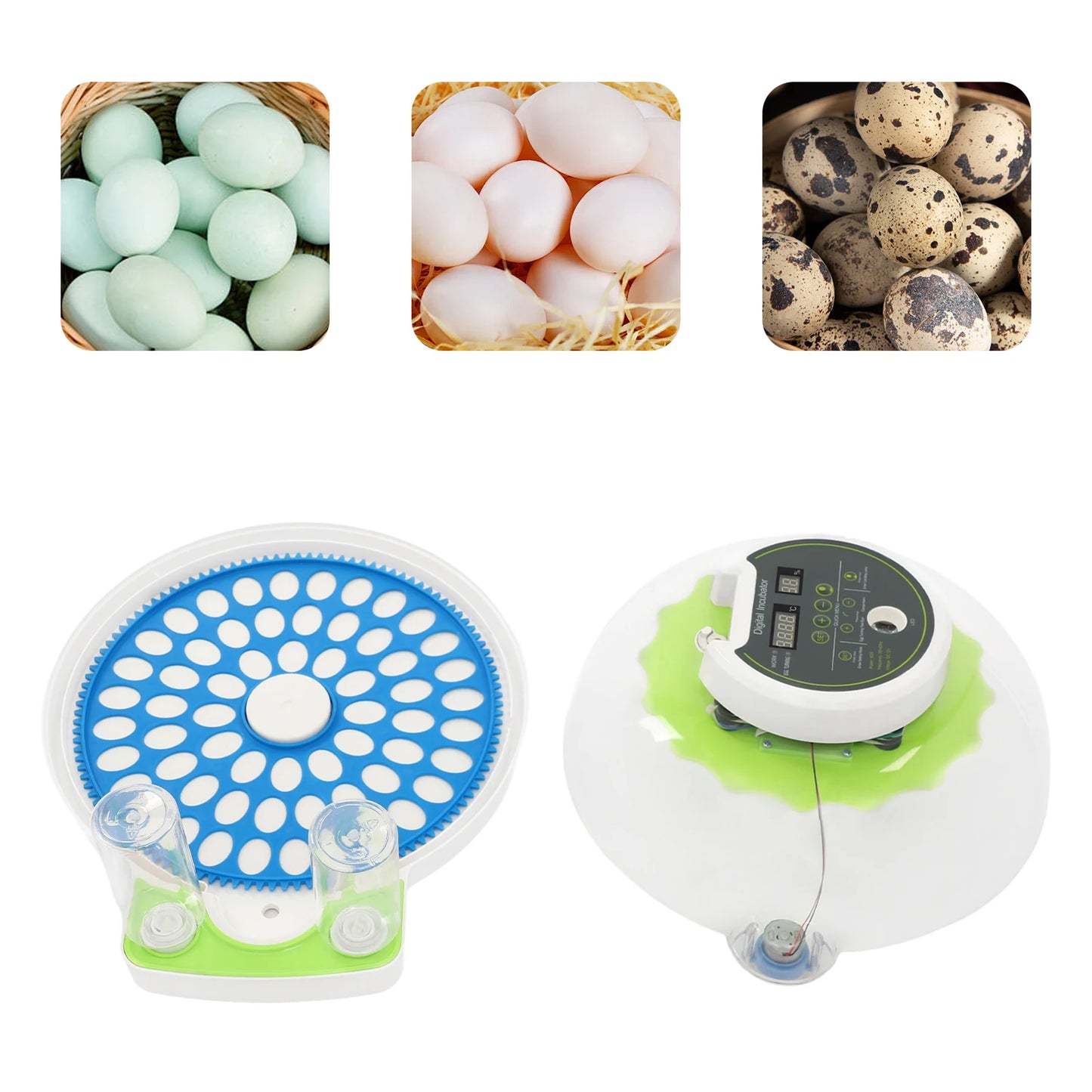 Small Incubator for 60 Small Eggs, Automatic Water Replenishment and Temperature Control Incubator, Outdoor Poultry