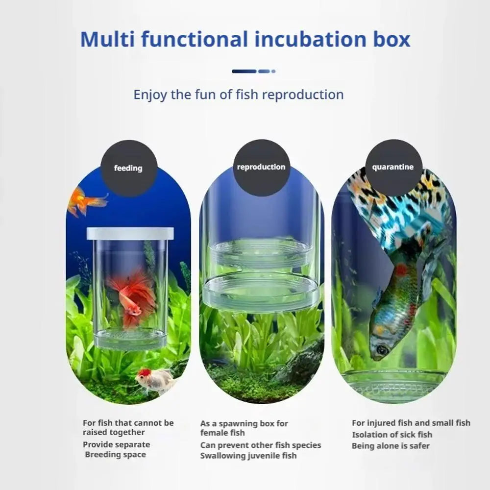 Floating Fish Breeding Isolation Box Fish Tank Hatching Incubator Small Fish Birthing Room Incubator Aquarium Breeder Accessory