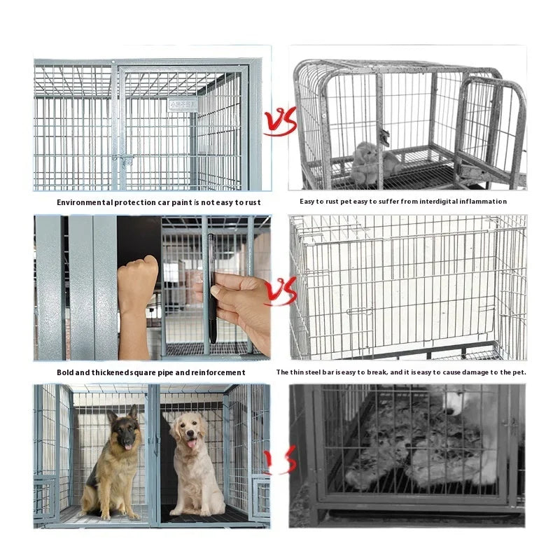 Bold Outdoor Pet Kennel for Medium Large Extra Large Dogs Including German Shepherds with Animal Pattern Tray