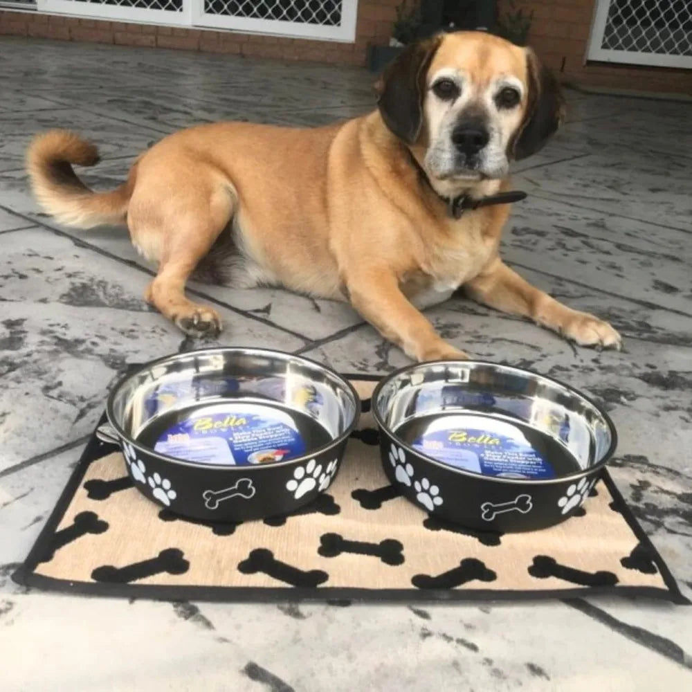 Bella Dog Bowls- Stainless Steel Dog & Cat Bowls - Spill Proof Dog Food Bowl, Cat Bowl, Puppy Essentials & Pet Supplies Great f