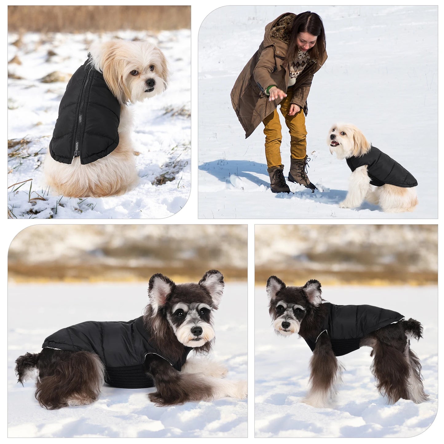 Pet Knitted Leisure Dog Clothes Autumn Winter Warm Vest Jacket With Zipper For Samll Medium Dog Chihuahua French Bulldog Coats