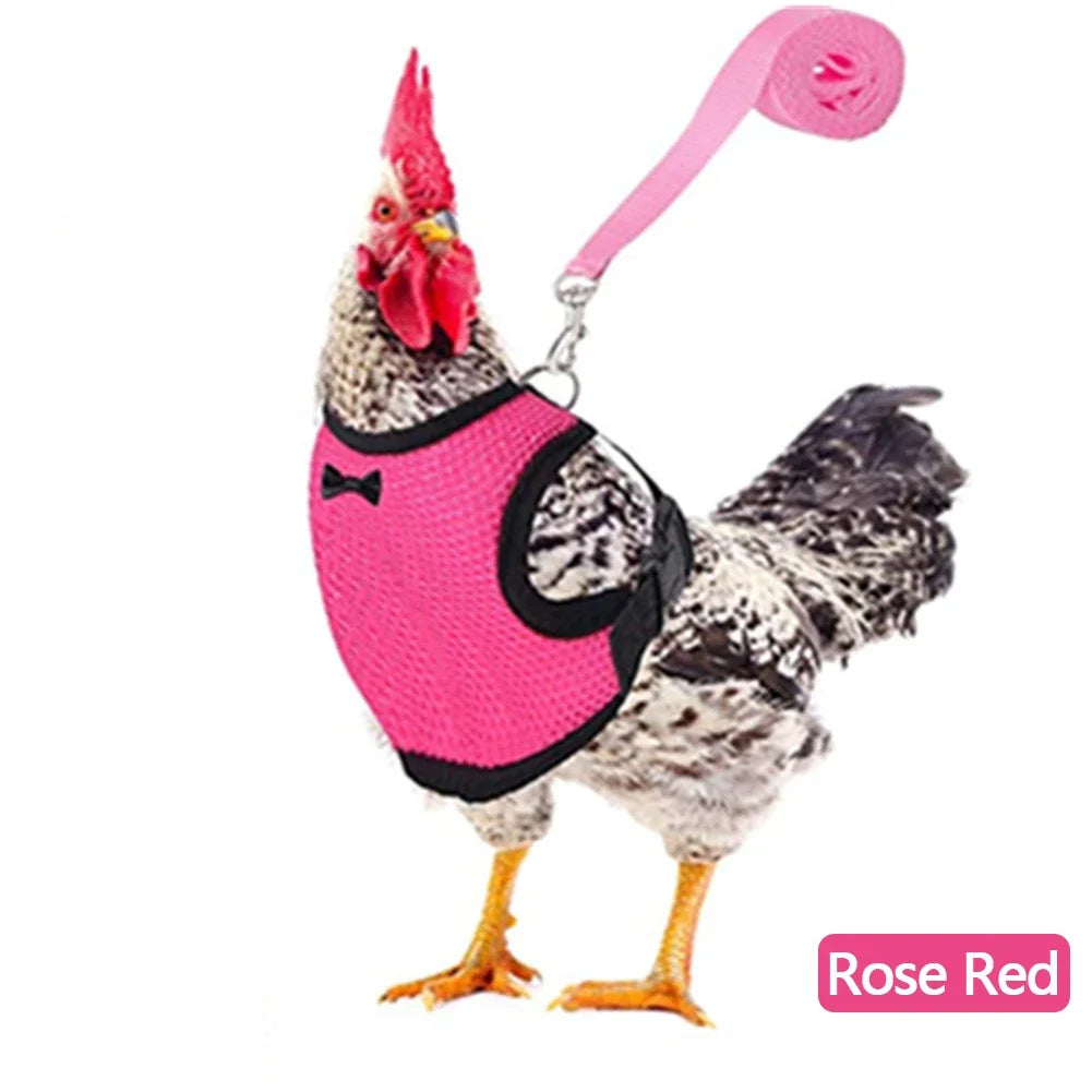 Fashion Chicken Duck Vest Hen Belt Pet Harness Matching Collars Bow Comfortable Leads Mesh Breathable Poultry Supplies Leash