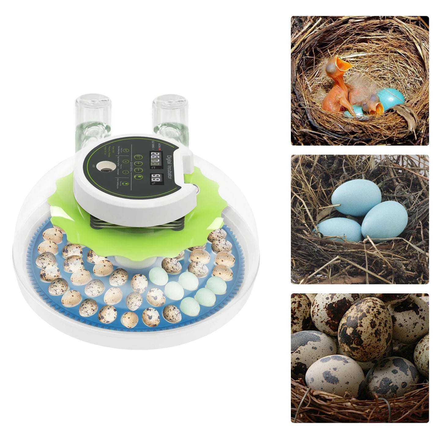 Small Incubator for 60 Small Eggs, Automatic Water Replenishment and Temperature Control Incubator, Outdoor Poultry