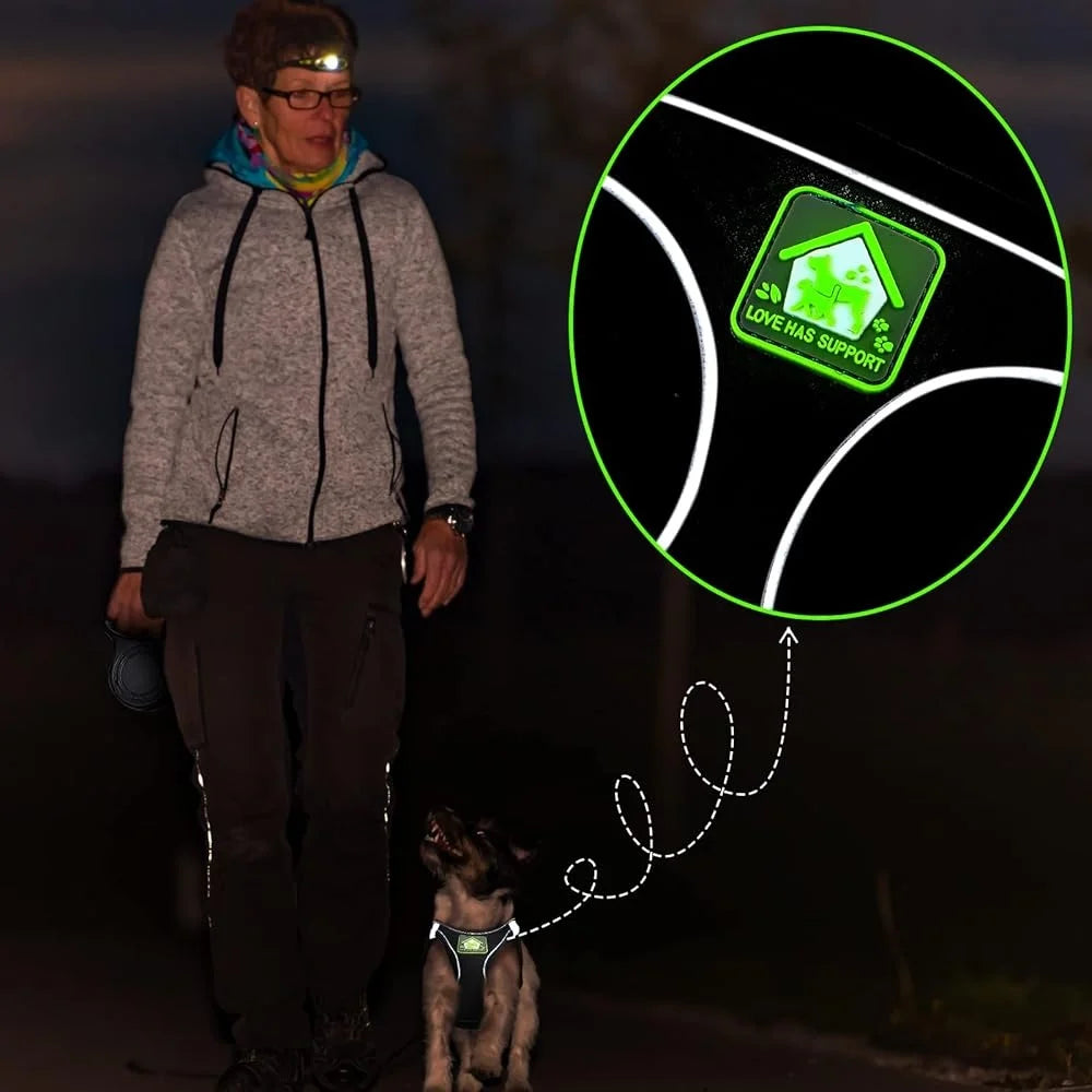 6 Pcs Dog Harness Set with Retractable Leash Bowknot Collar Mesh Vest Small Pet Training Walking