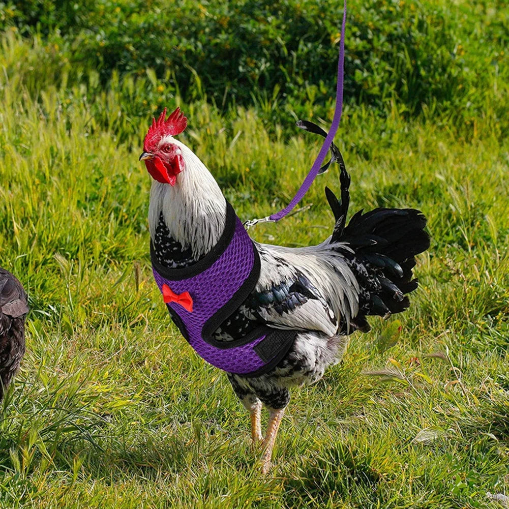 Fashion Chicken Duck Vest Hen Belt Pet Harness Matching Collars Bow Comfortable Leads Mesh Breathable Poultry Supplies Leash