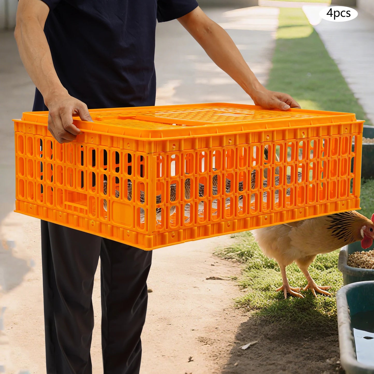 Plastic Chicken Transport Cage Stackable Poultry Crate Ventilated Farm Animal Carrier for Chickens Ducks