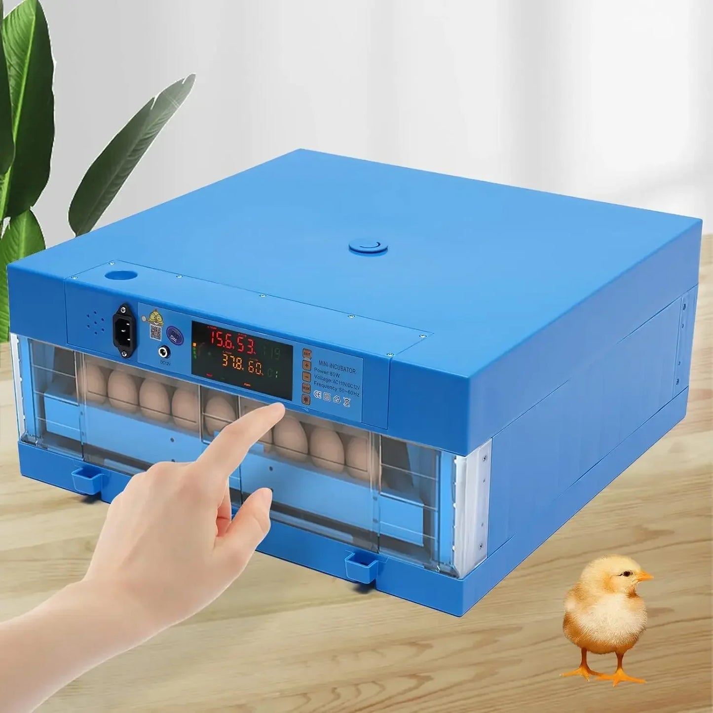 Incubator, 64 Egg Incubator 110V/12V Blue Incubator Automatic Smart Household Mini Chicken Egg Water Bed Incubator Box