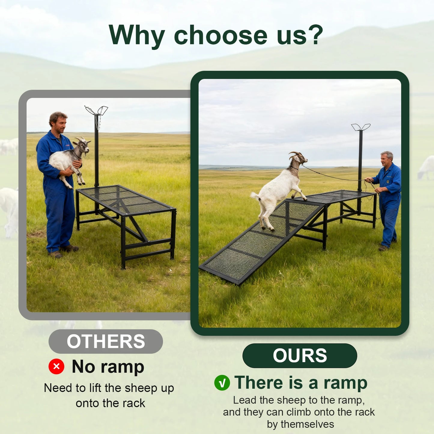 Goat Milking Stand 500Lbs Capacity Shearing Stand with Ramp Livestock Sheep Stand Trimming Stand with Headpiece Nose Loop
