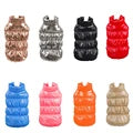 Cute Pet Dog Sweater for Small Dogs Winter Warm Puppy Cat Clothes Dachshund Pullover Mascotas Costume Clothing roupa cachorro