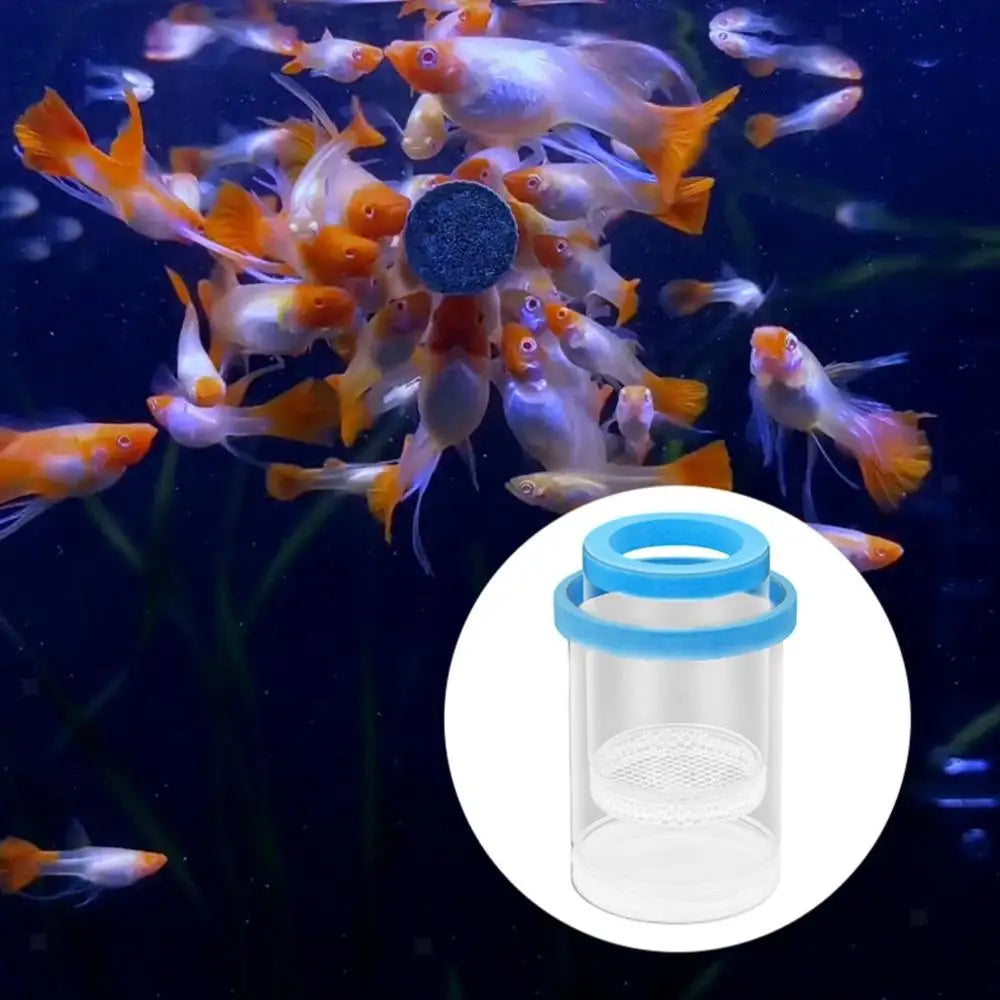 Floating Fish Breeding Isolation Box Fish Tank Hatching Incubator Small Fish Birthing Room Incubator Aquarium Breeder Accessory
