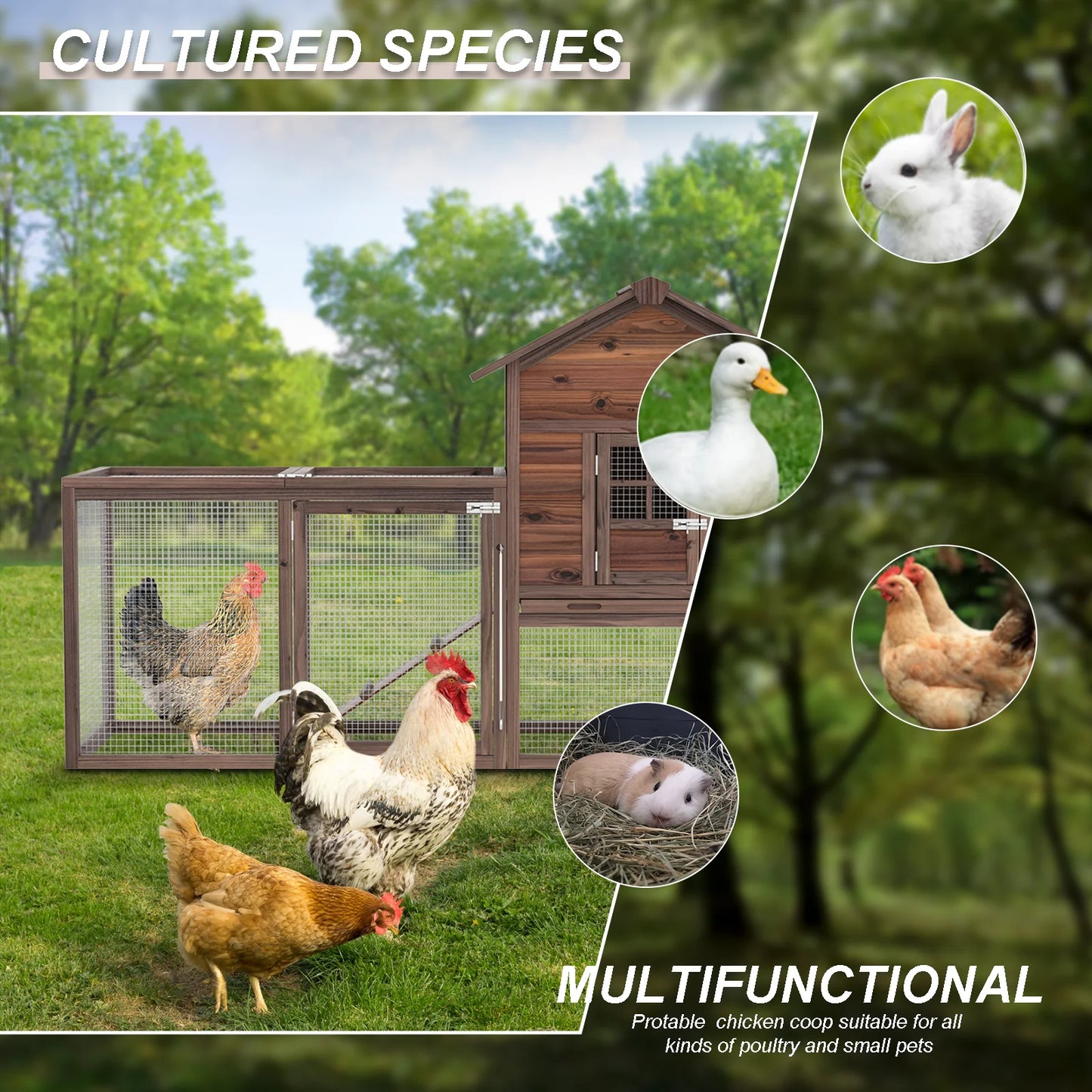 Chicken Coop for 5 Chickens Wooden Indoor Outdoor Hen Fence Chicken Coop and Run,Chicken Cage with Nesting Box & Removable Tray