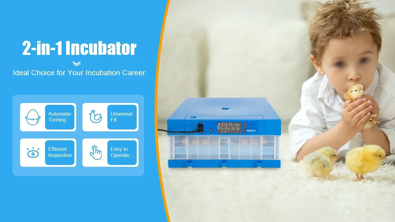 Incubator, 64 Egg Incubator 110V/12V Blue Incubator Automatic Smart Household Mini Chicken Egg Water Bed Incubator Box