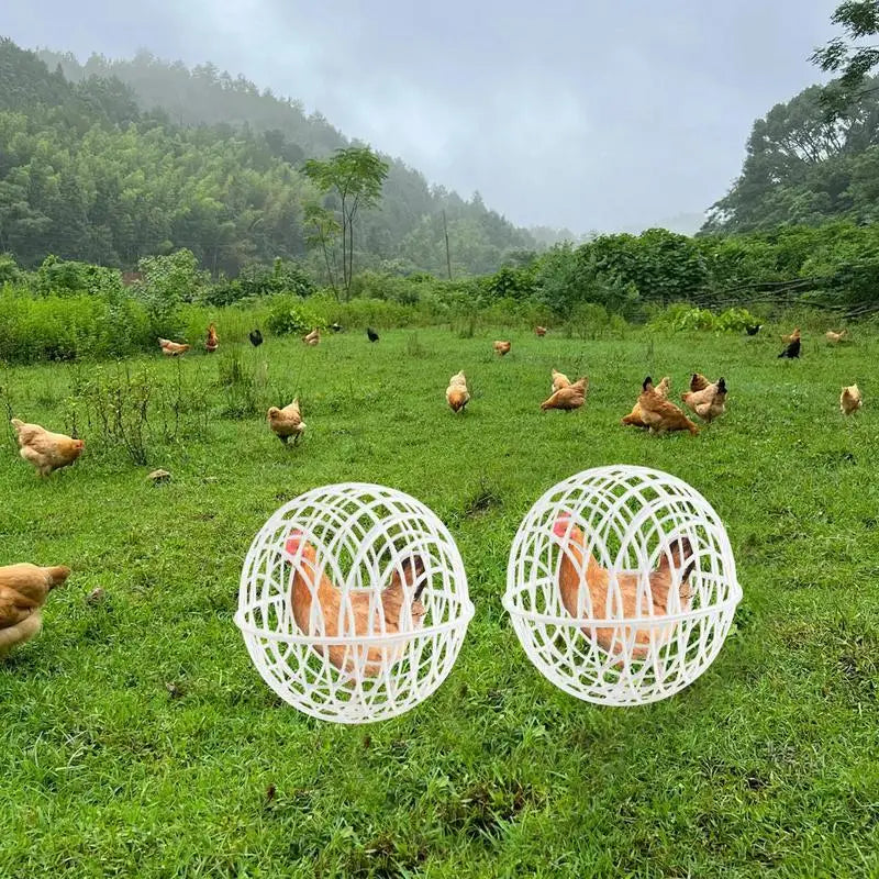 3pcs Walking Chicken Cage Safety Spherical Chicken Rolling Ball Chicken Hamster Ball Cage Free Range Can Roll and Walk To Feed
