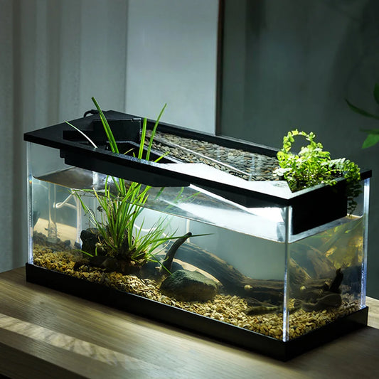 Acrylic Rectangular Aquarium With Built In Light And Pump