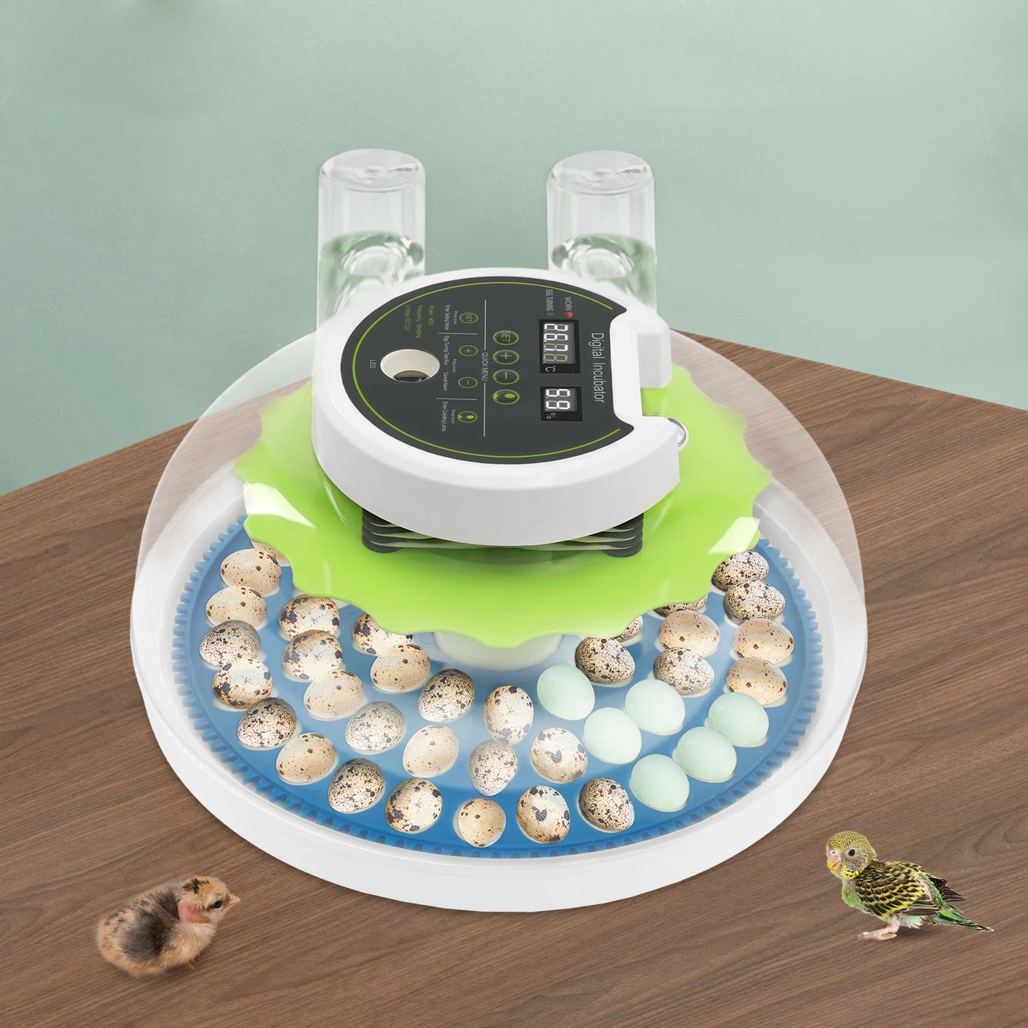 Small Incubator for 60 Small Eggs, Automatic Water Replenishment and Temperature Control Incubator, Outdoor Poultry