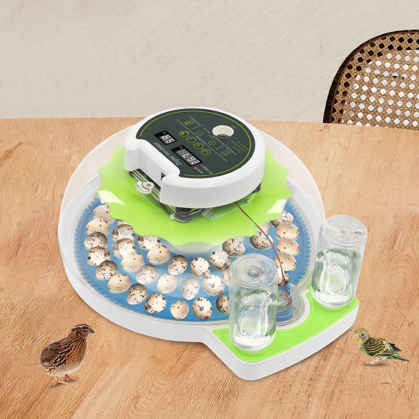 Small Incubator for 60 Small Eggs, Automatic Water Replenishment and Temperature Control Incubator, Outdoor Poultry