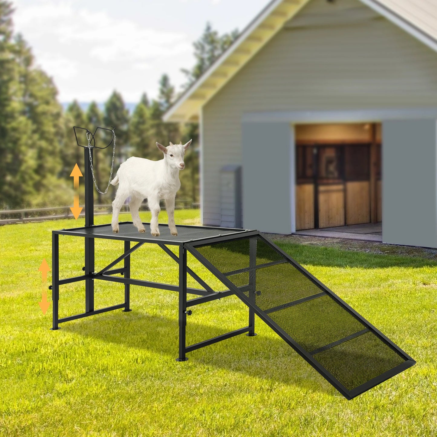 Goat Sheep Stand with Ramp| Adjustable Metal Livestock Milking and Shearing Stand| 47*23in, 500 lbs Load