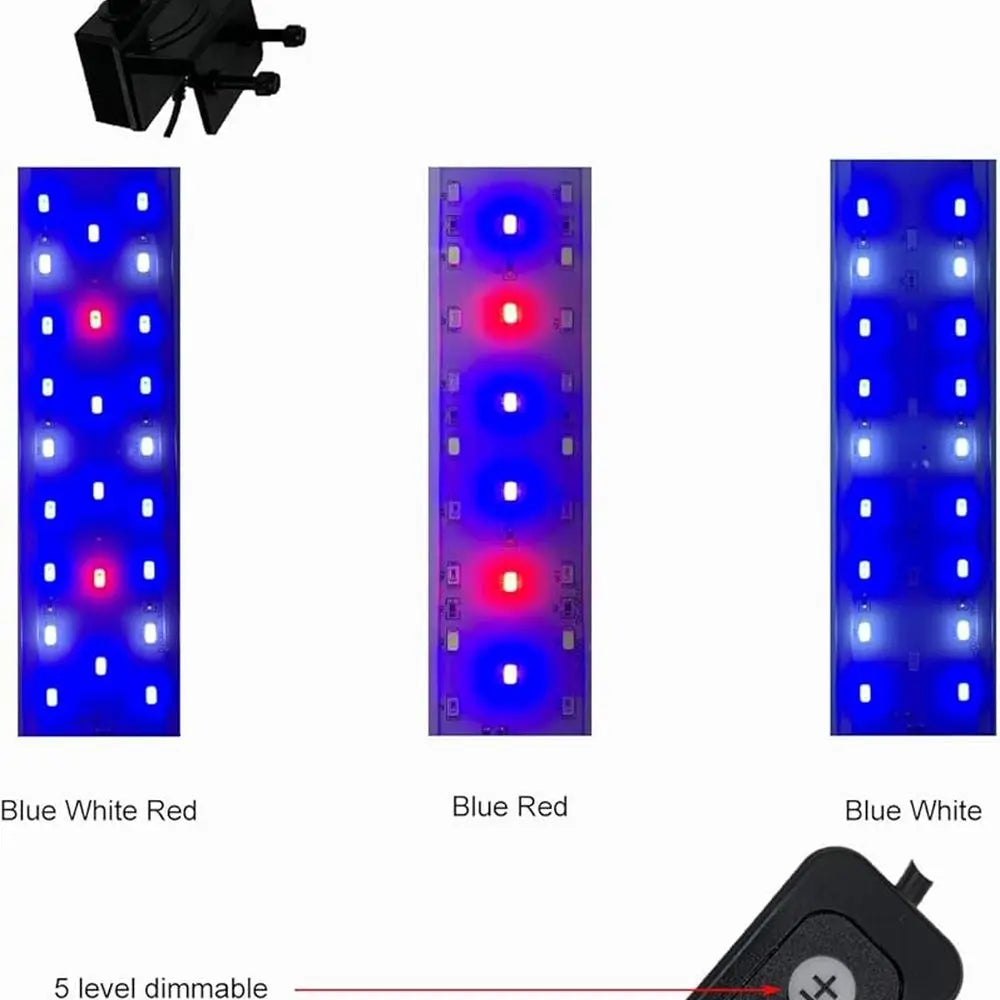 Curved Corner Saltwater Aquarium Rimless Low Iron Aquarium Marine Fish Tank Reef Tank with Lid, Protein Skimmer, LED Light, Filt