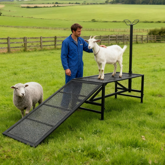 Goat Milking Stand 500Lbs Capacity Shearing Stand with Ramp Livestock Sheep Stand Trimming Stand with Headpiece Nose Loop