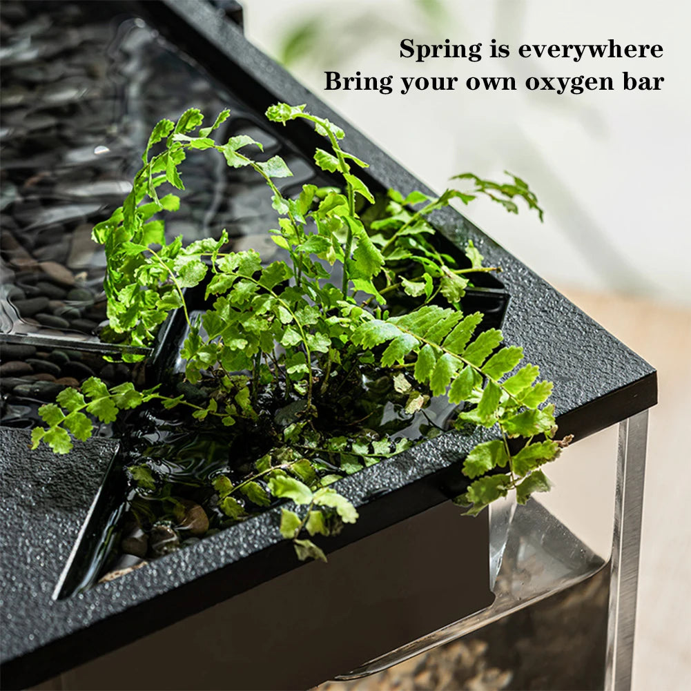 Acrylic Rectangular Aquarium With Built In Light And Pump