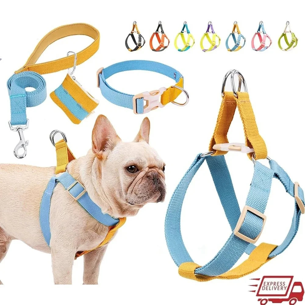 No Pull Dog Harness Set Adjustable Lightweight Cotton Halter with Leash Dog Collar Poop Bag Holder Escape-Proof Step-In Design