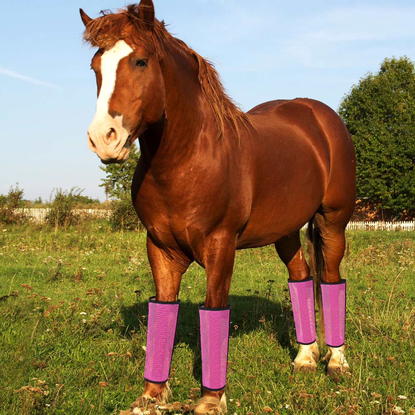 4 Sets Horse Foot Protective Cover Protective Horse Leg Wraps Breathable Mesh Horse Boots for Preventing Flies Mosquitoes Bite