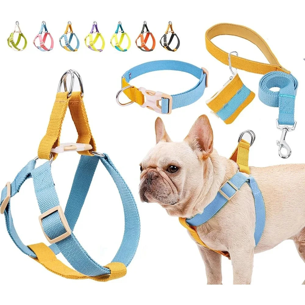 No Pull Dog Harness Set Adjustable Lightweight Cotton Halter with Leash Dog Collar Poop Bag Holder Escape-Proof Step-In Design